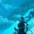 Manyagaha Island（マニャガハ島）の写真_323342