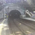 塔ノ沢駅の写真_323355