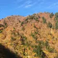 黒部峡谷鉄道の写真_324029