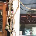 ひらみぱん（HIRAMIPAN）の写真_325413