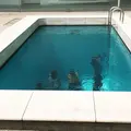 金沢21世紀美術館の写真_325436