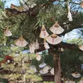 智恩寺の写真_325643