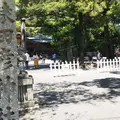 猿田彦神社の写真_325808