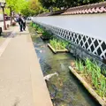 殿町掘割の写真_326290