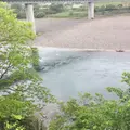 今治市の写真_326331
