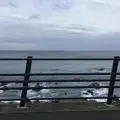 今治市の写真_326347