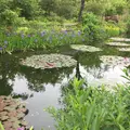 北川村「モネの庭」マルモッタンの写真_326419