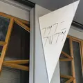 フツウニフルウツの写真_328796