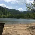 西ノ湖の写真_328804