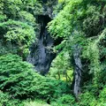羅生門の写真_328838