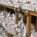 豪徳寺の写真_329028