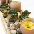 アドック｜ad hocの写真_329395