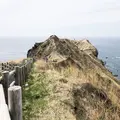 神威岬の写真_330510