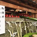 市比賣神社の写真_331018