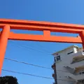 淡島神社の写真_331349