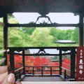 東福寺の写真_331460
