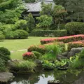題経寺（柴又帝釈天）の写真_331501