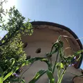 トーベ・ヤンソンあけぼの子どもの森公園の写真_331612