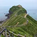 神威岬の写真_332200