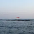 旧・遠見岬神社・海の鳥居の写真_332292