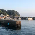 有限会社勝浦マリンハーバーの写真_332298