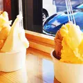 ジェラート札幌果林樹の写真_332480