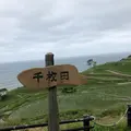 千枚田の写真_332689