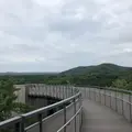 別所岳SAの写真_332697