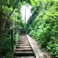 仙水の写真_339552