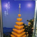 松山空港の写真_339582