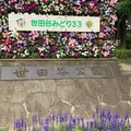 世田谷公園の写真_339623