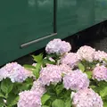 鎌倉駅の写真_339650
