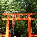 河合神社の写真_339701