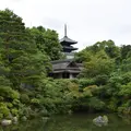 仁和寺の写真_339703