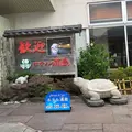 ホテル浦島の写真_339734