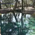 別府弁天池の写真_339763