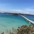 角島大橋 (つのしまおおはし)の写真_339764