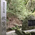 秋芳洞の写真_339772