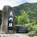 熊野古道　大門坂の写真_340187
