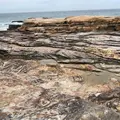 千畳敷の写真_341244