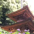 日龍峰寺（高沢観音）の写真_342159