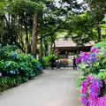 阿弥陀寺の写真_342523