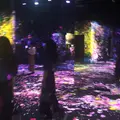 【閉業】森ビルデジタルアートミュージアム：エプソン チームラボボーダレス（MORI Building Digital Art Museum: EPSON teamLab Borderless）の写真_342594