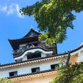 犬山城の写真_342672