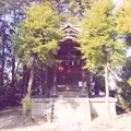 金比羅宮の写真_343279