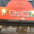 いもっこ畑麻生の写真_343817