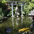 黄金池の写真_344171