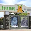 東山動物園の写真_344181