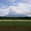 山中湖花の都公園の写真_344849