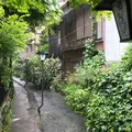いがわこみちの写真_345264
